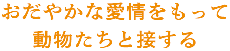穏やかな愛情を持って動物たちと接する